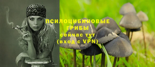 mix Абаза