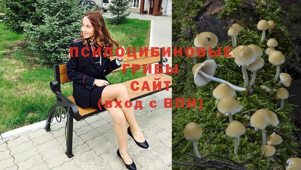 прущая мука Абдулино