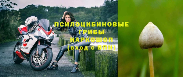 ГАЛЛЮЦИНОГЕННЫЕ ГРИБЫ Алексин