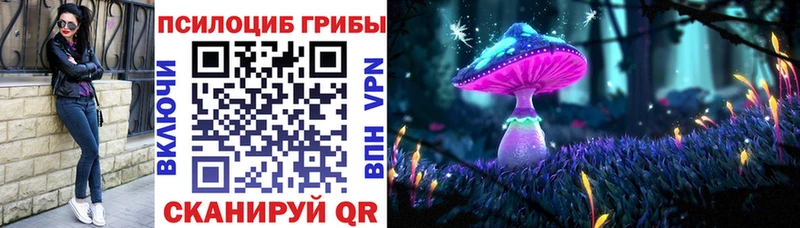 Псилоцибиновые грибы Psilocybine cubensis  МЕГА как войти  Болотное 