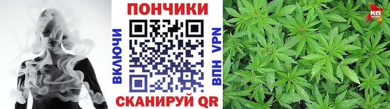 закладки  blacksprut tor  Бошки Шишки ГИДРОПОН  Болотное 